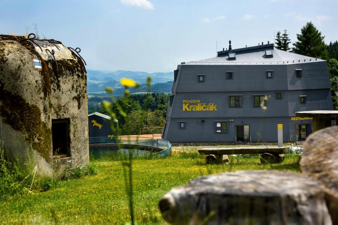 Penzion Kralicak Staré Město Buitenkant foto